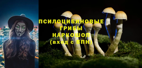 стафф Алексин