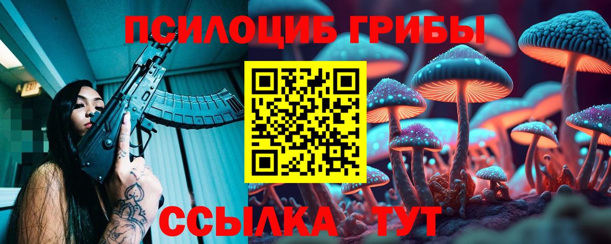 Псилоцибиновые грибы Psilocybine cubensis  Вход с VPN  наркота  Псилоцибиновые грибы мухоморы  Усолье-Сибирское 
