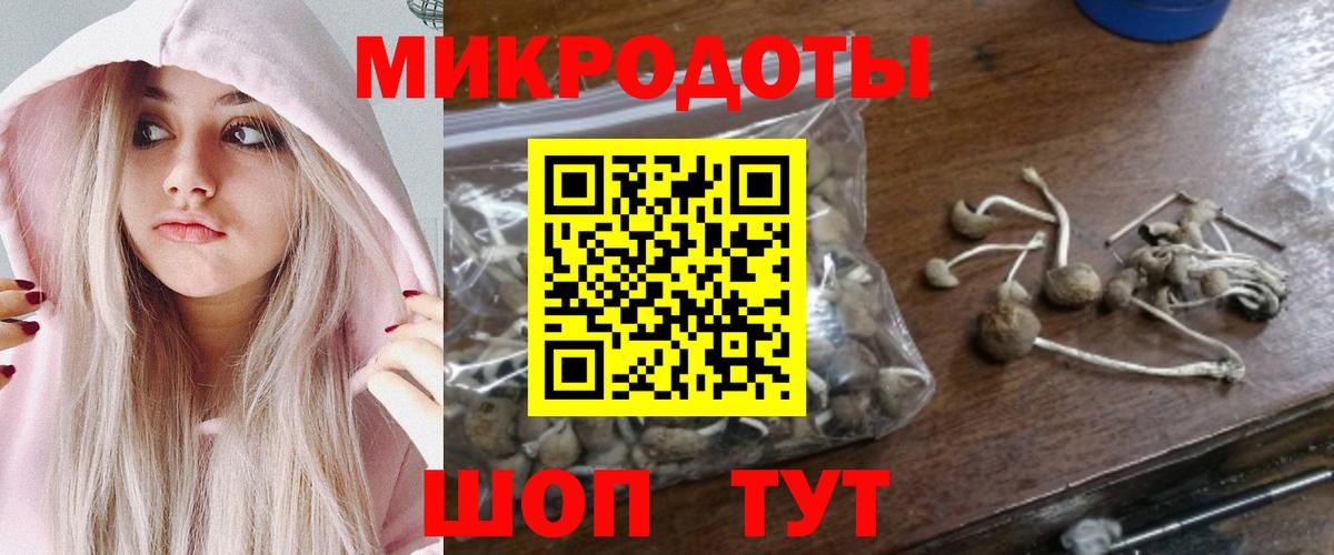 Галлюциногенные грибы Psilocybe Усолье-Сибирское